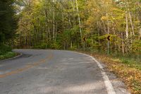 Ontario Forest Road: Exploring Canada's Beautiful Landscape