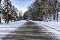 Ontario Forest Road: A Day in Nature