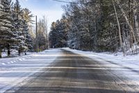 Ontario Forest Road: A Day in Nature