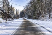 Ontario Forest Road: A Day in Nature