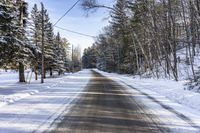 Ontario Forest Road: A Day in Nature