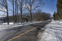 Ontario Forest Road in the Daylight