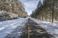 Ontario Forest Road: Snow-Covered Trees and Serene Views