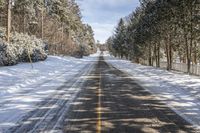 Ontario Forest Road: Snow-Covered Trees and Serene Views