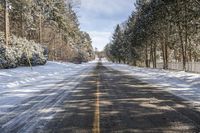 Ontario Forest Road: Snow-Covered Trees and Serene Views