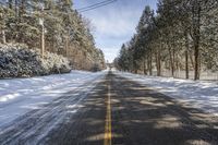 Ontario Forest Road: Snow-Covered Trees and Serene Views