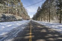 Ontario Forest Road: Snow-Covered Trees and Serene Views