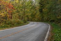 Ontario Forest Road in Toronto, Canada