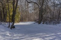 Ontario Forest Road Trip: Exploring Canada's Wilderness