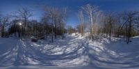 snow covered ground with trees and some skis in the snow near them and trees and blue sky