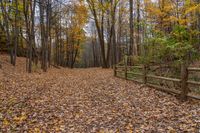 a dirt trail surrounded by trees on a cloudy day in autumn or fall is pictured