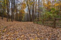 a dirt trail surrounded by trees on a cloudy day in autumn or fall is pictured