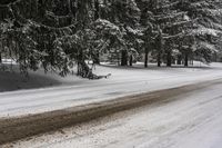 snowy landscape with road through trees and fallen tree limbs in wintertime with snow on ground