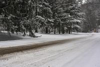 snowy landscape with road through trees and fallen tree limbs in wintertime with snow on ground