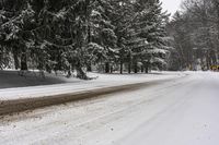 snowy landscape with road through trees and fallen tree limbs in wintertime with snow on ground