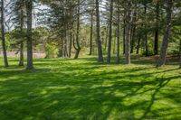 Ontario Green Grass Nature Scenery