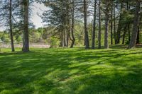 Ontario Green Grass Nature Scenery