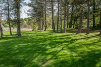 Ontario Green Grass Nature Scenery