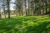 Ontario Green Grass Nature Scenery