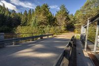 benches along a cement road near a lake, pine trees, and a building in the background