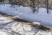 a person is on their skis looking at the road in the snow by the trees