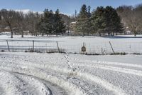 Ontario Landscape in Canada: A Snowy Tree View