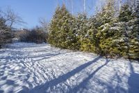 Ontario Landscape: Exploring the Canadian Forest