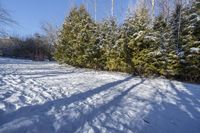 Ontario Landscape: Exploring the Canadian Forest