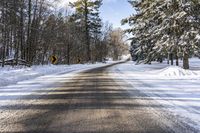 Ontario Landscape: A Canadian Nature Scene