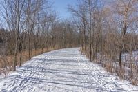 a narrow path with snow, and trees in the background in winter time by david murphy for stocks