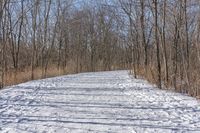 a narrow path with snow, and trees in the background in winter time by david murphy for stocks