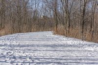 a narrow path with snow, and trees in the background in winter time by david murphy for stocks