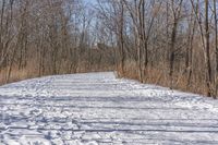 a narrow path with snow, and trees in the background in winter time by david murphy for stocks