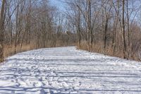 a narrow path with snow, and trees in the background in winter time by david murphy for stocks