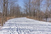 a narrow path with snow, and trees in the background in winter time by david murphy for stocks