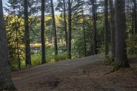 Ontario Landscape: Clear Sky, Lake Reflection