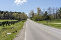 an empty country road surrounded by grass and fenced in field and trees in background