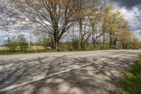 an empty country road in the middle of a wooded area with trees and blue sky