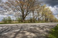 an empty country road in the middle of a wooded area with trees and blue sky