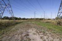 Ontario Landscape: A Blend of Nature and Trees