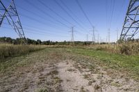 Ontario Landscape: A Blend of Nature and Trees