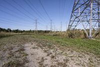Ontario Landscape: A Blend of Nature and Trees