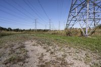 Ontario Landscape: A Blend of Nature and Trees