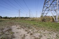 Ontario Landscape: A Blend of Nature and Trees