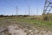 Ontario Landscape: A Blend of Nature and Trees