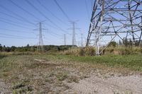 Ontario Landscape: A Blend of Nature and Trees