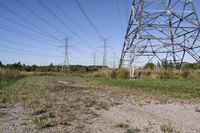 Ontario Landscape: A Blend of Nature and Trees