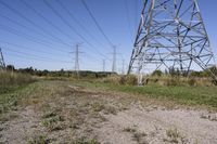 Ontario Landscape: A Blend of Nature and Trees