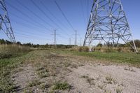 Ontario Landscape: A Blend of Nature and Trees