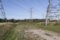 Ontario Landscape: Rural Road with Tree